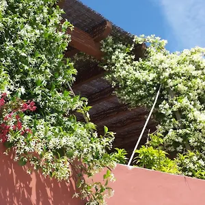 Gato Preto De - Adults Only Frühstückspension Silves